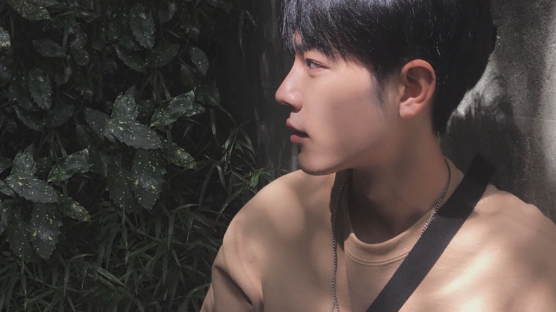 开云·体育全站登录地址-《电竞冠军背后的团队支撑：幕后英雄谁与争锋？》，电竞职业选手冠军