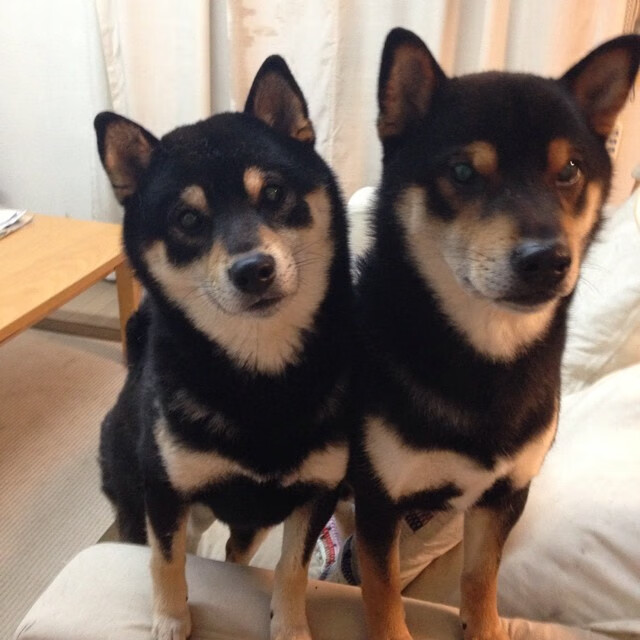 今年联盟“三分命中率”排名都有哪些令人惊喜的队伍？，nba联盟三分命中率第一