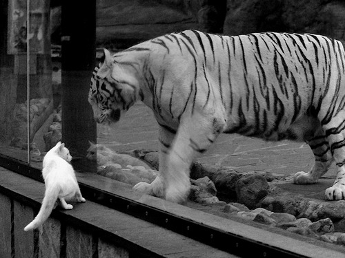 今年联盟“三分命中率”排名都有哪些令人惊喜的队伍？，nba联盟三分命中率第一