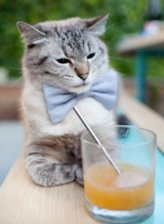 全国青少年冰球联赛，冰上激情飞扬，2021年全国青少年冰球锦标赛